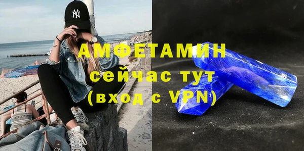 мет Алексин
