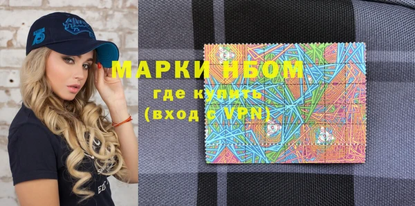 мет Алексин