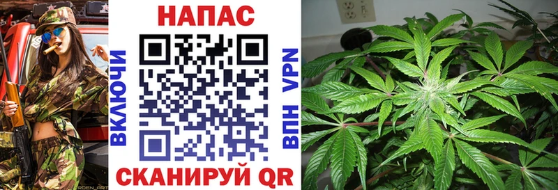 Бошки Шишки MAZAR  где продают   Тотьма 
